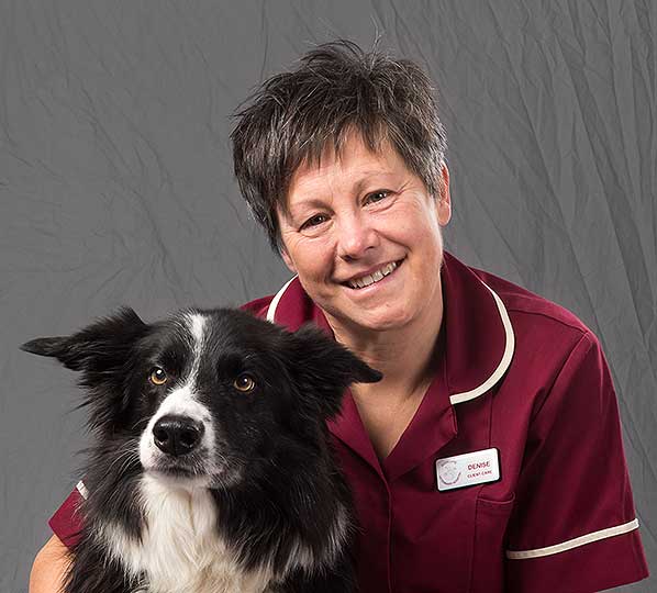 Denise March, client care at Dovecote Veterinary Hospital