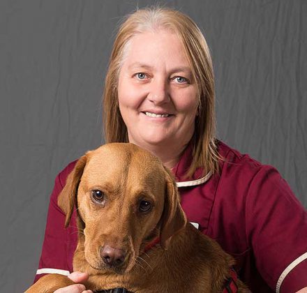 Gill Kershaw, Practice Manager at Dovecote Veterinary Hospital